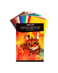 Картон цветной лакированный А4, 10 листов, 10 цветов, TOP, односторонний, 200 г/м2, в папке Calligrata