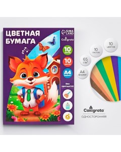 Бумага цветная А4, 10 листов, 10 цветов "Лисенок", офсет, в папке Calligrata