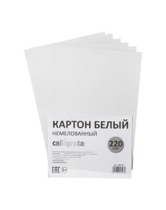 Картон белый А4, 6 листов, 220г/м2, немелованный на скобе, ЭКОНОМ Calligrata