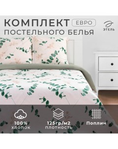 Постельное белье евро «Эвкалипт» (вид 1) 200*217 см,240*220 см,70*70 см -2 шт Этель