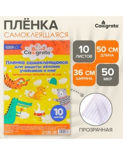 Пленка самоклеящаяся, 50 х 36 см, прозрачная, 10 листов, 50 мкм, МИКС Calligrata