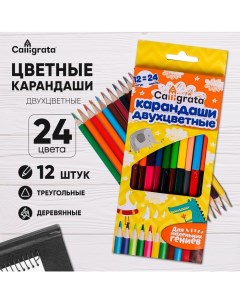 Карандаши двусторонние, заточенные, 12 штук, 24 цвета, корпус треугольный, деревянный, в картонной к Calligrata