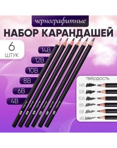 Набор карандашей чернографитных 6 штук (14В, 12В, 10В, 8В, 6В, 4В) Calligrata