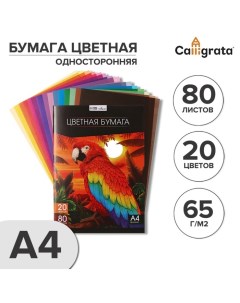 Бумага цветная А4, 80 листов, 20 цветов TOP, офсет, в папке Calligrata