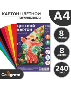 Картон цветной А4, 8 листов, 8 цветов,, мелованный 240 г/м2, в пленке Calligrata