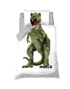 Постельное бельё "" 1,5 сп Green Dino (вид 3) 143х215см, 150х214см, 50х70см1 шт, 100% хл, бязь Этель