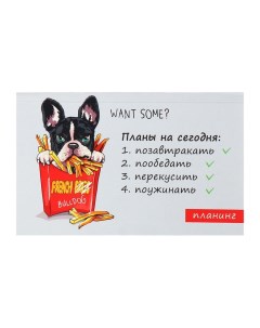 Планинг недатированный A6, с открывными листами, 50 листов, на склейке, мягкая обложка, Планировали  Calligrata