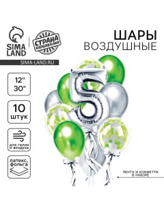 Набор воздушных шаров «5 лет», для мальчика, латекс, фольга, 13 шт. Страна карнавалия