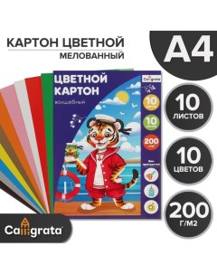 Картон цветной А4 10 листов, 10 цветов "Волшебный" мелованный, одностороний, 200г/м?, в папке Calligrata