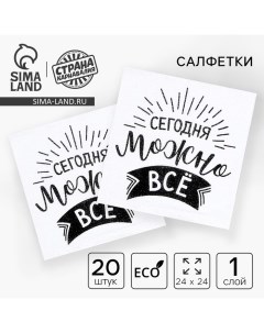 Салфетки бумажные «Сегодня можно всё», однослойные, 24х24 см, набор 20 шт. Страна карнавалия