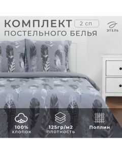 Постельное бельё 2 сп «Перья» (вид 2) 175х215 см, 200х220 см, 70х70 см -2 шт,поплин 125 г/м2 Этель