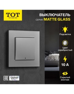 Выключатель Matte Glass, 10 А, 1 кл., с подсветкой, скрытый, стекло, серебристый Tot