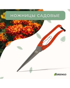 Ножницы садовые, 12" (31 см), с металлическими ручками Greengo