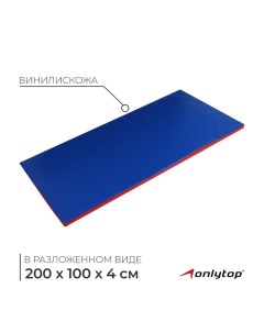 Мат, 200х100х4 см, цвет синий/красный Onlytop