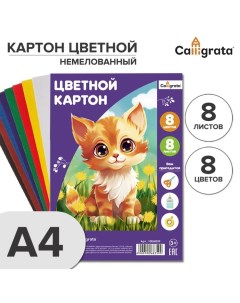 Картон цветной А4, 8 листов, 8 цветов, немелованный 190 г/м2, в т/у пленке Calligrata