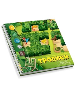 Игра магнитная головоломка «Тропики» Десятое королевство