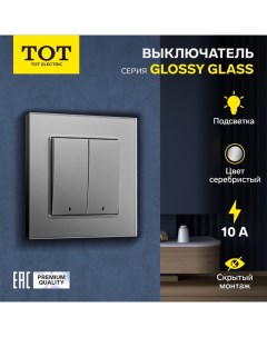 Выключатель Glossy Glass, 10 А, 2 клавиши, с подсветкой, скрытый, стекло, серебристый Tot