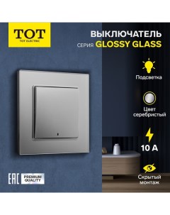 Выключатель Glossy Glass, 10 А, 1 клавиша, с подсветкой, скрытый, стекло, серебристый Tot