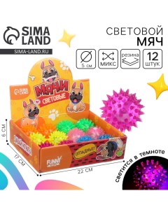 Мяч детский резиновый световой «Пёсики», цвета МИКС, в шоубоксе Funny toys