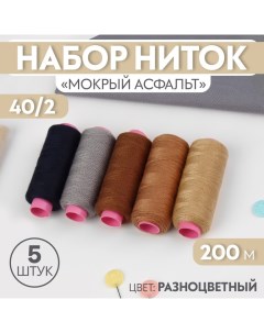 Набор ниток «Мокрый асфальт», 40/2, 200 м, 5 шт, цвет разноцветный Арт узор