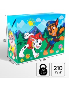 Пакет-коробка, 40 х 30 х 15 см, упаковка, Щенячий патруль Paw patrol