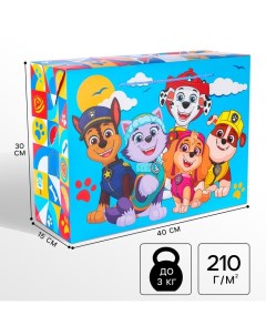 Пакет-коробка, 40 х 30 х 15 см, упаковка, Щенячий патруль Paw patrol