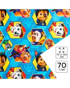 Бумага упаковочная, 70 х 100 см «Гонщик и Маршал», Щенячий патруль Paw patrol