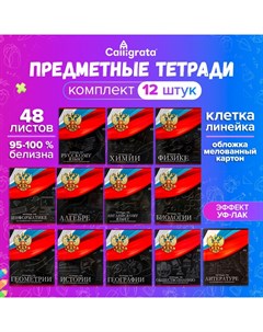 Набор предметных тетрадей 48 листов «Герб», со справочным материалом, обложка мелованный картон, УФ-лак, блок офсет, 12 шт. Calligrata