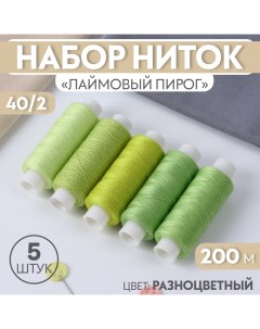 Набор ниток «Лаймовый пирог», 40/2, 200 м, 5 шт, цвет разноцветный Арт узор