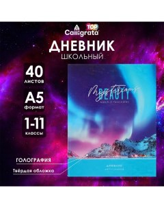 Дневник универсальный для 1-11 классов "Северное сияние", твёрдая обложка, голография, 40 листов Calligrata