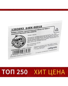 Бейдж-карман горизонтальный, 30 мкр, (внешний 88 х 55 мм), внутренний 88 х 53 мм, с зажимом и булавк Calligrata