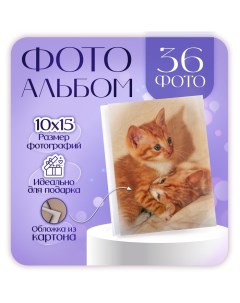 Фотоальбом на 36 фото 10х15 см Puppies and kittens рыжие котята Pioneer