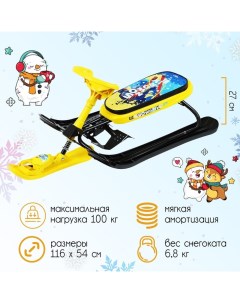 Снегокат Winter Sport, СНК/WS Nika kids