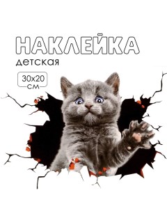 Наклейка 3Д интерьерная Котик 30*20см Take it easy