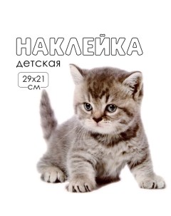 Наклейка 3Д интерьерная Котик 29*21см Take it easy