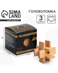 Головоломка деревянная Игры разума «Башня познания» Puzzle