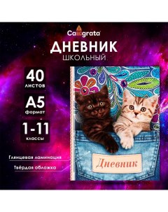 Дневник универсальный для 1-11 классов, "Котята в кармане", твердая обложка 7БЦ, глянцевая ламинация Calligrata