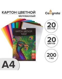 Картон цветной А4, 20 листов, 20 цветов, волшебный (золото+серебро) TOP, мелованный 200 г/м2, в папк Calligrata