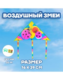 Воздушный змей «Божья коровка», с леской Funny toys