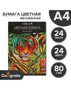 Бумага цветная А4, 24 листа, 24 цвета, мелованная 80 г/м2, на скобе Calligrata