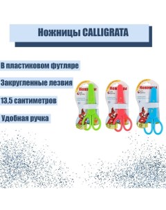 Ножницы 13.5 см, в пластиковом футляре, МИКС Calligrata