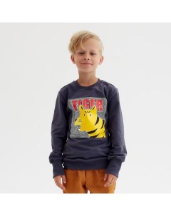 Свитшот для мальчика : Casual Collection KIDS цвет графит, рост 104 Minaku