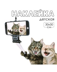 Наклейка 3Д интерьерная Котики 30*30см Take it easy