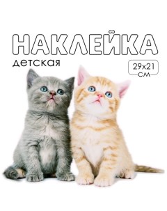 Наклейка 3Д интерьерная Котики 29*21см Take it easy