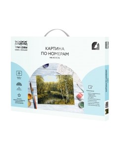 Картина по номерам Три совы