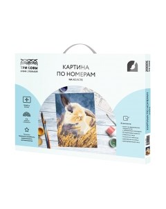 Картина по номерам Кролик / КХ_44099 Три совы