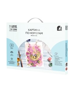 Картина по номерам Цветочная песня / КХ_44200 Три совы