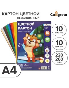 Картон цветной А4, 10 листoв, 10 цветов,, немелованный 220-260 г/м2 Calligrata