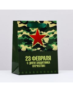 Пакет ламинированный вертикальный "23 февраля, звезда", 18 х 23 х 10 см Upak land