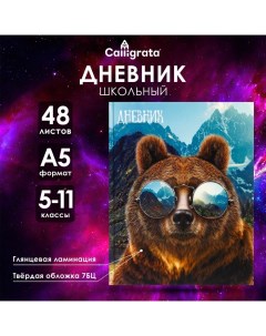 Дневник для 5-11 классов, "Медведь в очках", твердая обложка 7БЦ, глянцевая ламинация, 48 листов Calligrata